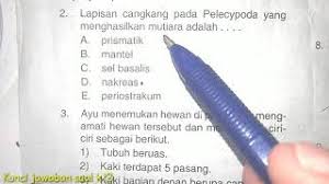 Penelitian ini dilakukan dengan tujuan untuk menganalisis tingkat perkembangan pada ketebalan lapisan mutiara jenis blister mabé dan perbandingan ketebalan lapisan Lapisan Cangkang Pada Pelecypoda Yang Menghasilkan Mutiara Adalah Vertebrta Invertebrata Mutiara Youtube
