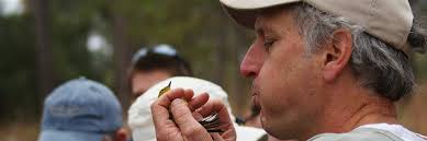 MEMORIAL DINNER & AUCTION