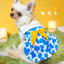 犬服 わんこ服 ドッグウェア おはなワンピース