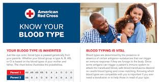 Maybe you would like to learn more about one of these? Blood Type Compatibility Download Red Cross Blood Services