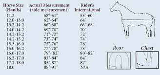 Riders International Horse Clothing Dover Saddlery