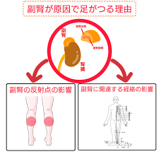 西船橋オステオパシー かげん鍼灸院・整体院