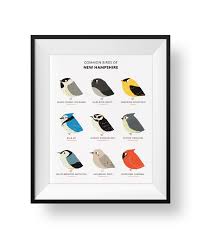 Alphabetical list of new hampshire counties alphabetical list of new hampshire hotspots town list top birding locations in new hampshire. Common State Birds Of New Hampshire Art Print Illustrated Etsy