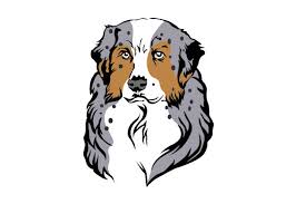 Find out the date, how long in days until and count down to till christmas day with a countdown clock. Australian Shepherd Svg Cut File By Creative Fabrica Crafts Creative Fabrica