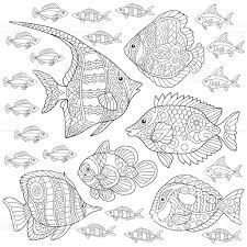Collection Of Tropical Fishes Coloring Page Freehand Sketch For Fish Coloring Page Coloring Books Coloring Pages