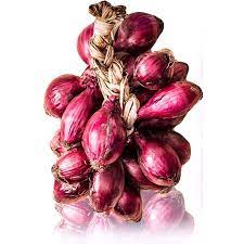 Dörfer rund um tropea produzieren rote zwiebeln , die in italien bekannt sind. Zwiebeln Von Tropea Kg 2 5