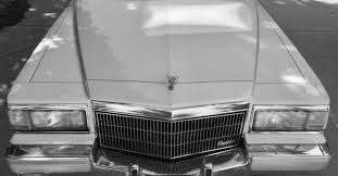 Image result for Crema 1992 Fleet