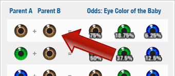 All other eye colors, there are still a few things to consider. Do You Want To Know Your Baby S Eyes Color Check This Out Facts Wt