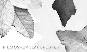 Take just five minutes to learn how to create a leaf brush for photoshop completely from scratch. Photoshop Leaf Brushes Photoshop Brushes Photoshop Resources
