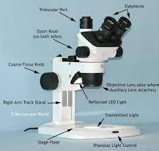 Stereo Zoom Microscope Types Of Microscopes Stereo Microscope Optical Microscope Microscopic
