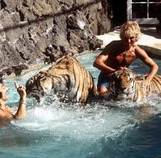Laut bild haben siegfried und roy ihr vermögen gemeinsam in eine stiftung überführt. Magier Duo Der Weisse Tiger Von Siegfried Roy Ist Tot Welt