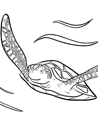 Download 1,430 coloring turtle stock illustrations, vectors & clipart for free or amazingly low rates! Printables Free Colouring Pages Learning Worksheets Hp Official Site