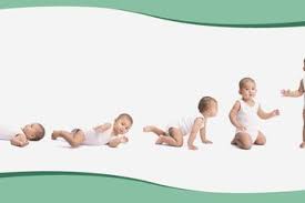 Ini Tahap Perkembangan Bayi Sampai Usia 1 Tahun Yang Normal Semua Halaman Nakita