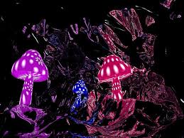 Check spelling or type a new query. Magic Mushrooms Wallpapers Wallpaper Cave