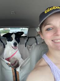 FOUND LAKE O THE PINES AREA FEMALE WHO'S DOG IS THIS?