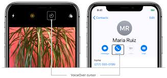 Supporting Voiceover In Your App Apple Developer Documentation