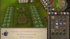 Here is your dosing calculation that's why we provide soft hemp chews that are appropriately dosed for small pets and easy on their smaller jaws. How To Get Started Farming Guide Osrs 2007 Plus Is It Worth Doing Farm Runs Youtube