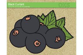 Black Currant Svg Vector Graphic By Crafteroks Creative Fabrica Graphic Black Currants Logo Design
