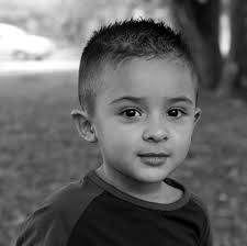 TEACHING DUAL LANGUAGE LEARNERS