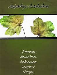 Beileid bilder beileid schreiben beileid karte worte für trauerkarte trauer zitate tagebuch schreiben trauertexte für karten text für trauerkarte sprüche beerdigung. Anteilnahme Trauerkarte Mit Spruch 200622 Kartenwichtel De