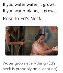 Make your own images with our meme generator or animated gif maker. Water Grows Everything Ed S Neck Is Probably An Exception Water Meme On Me Me