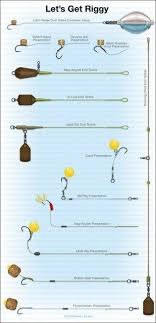 We did not find results for: Different Types Of Carp Rigs Off 62 Medpharmres Com