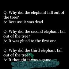 Want to communicate more effectively? 62 Lamest Questions And Answers Quotes With Images Readbeach Quotes