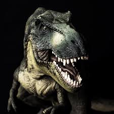 Was rex in return of the jedi? Paleontologists Stunning Conclusion 2 5 Billion T Rexes Roamed North America Over The Cretaceous Period