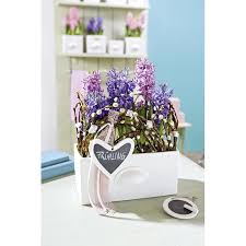 You're read manga online my sweet garden chapter 2 online at mangago. Porcelain Drawer With Grip Sandra S Secret Garden Rectangular White 1 20 20