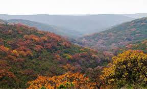 Official guide — texas parks & wildlife department. Rv Camping Near Lost Maples State Park Cruise America