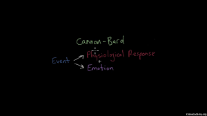 Appraisal theory is the theory in psychology that emotions are extracted from our evaluations (appraisals or estimates) of events that cause specific reactions in different people. Theories Of Emotion Video Emotion Khan Academy