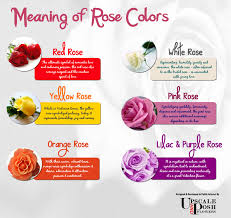 What is your favorite flower? Red Rose And White Rose Meaning