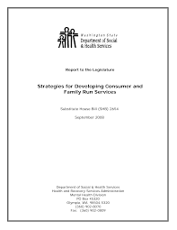 Strategies for Developing Consumer and Family Run Services