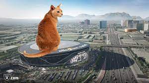 Las vegas raiders allegiant stadium lanai doors open to reveal al davis. Adam Lefkoe On Twitter The Raiders New Stadium Looks Like A Roomba This Is All I Can See Now