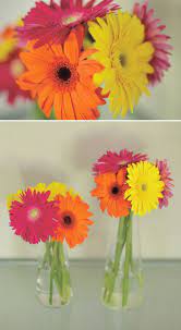 Rosa e creme grade de fotos elegante feminino chá de. Gerberas Festa Laranja Aniversario Amarelo Casamento Laranja E Rosa