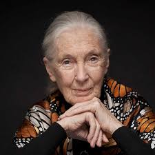 Jane Goodall Hopecast Team, Author at Jane Goodall's Good for All News