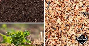 Maybe you would like to learn more about one of these? Compost Vs Mulch What S The Difference Gardening Channel