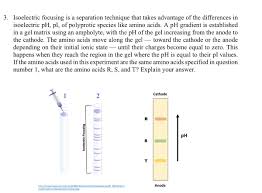 Isoelectric Focusing - An Overview | Sciencedirect Topics