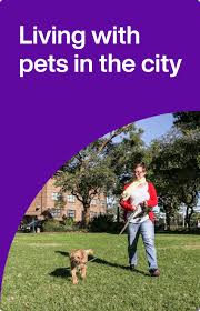 Pets in the city magazine is an independent, free, monthly publication distributed throughout the wasatch, utah area. Living With Pets In Sydney City City Of Sydney