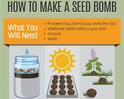Guerilla gardening is a fun way to combat our wasted spaces with something productive and beautiful that will serve both humankind and the rest of the natural how to make a seed bomb. Infographic The Ultimate Guide To Guerrilla Gardening