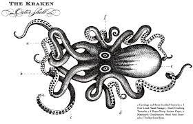 The Kraken Rum Kraken Drawing Kraken Kraken Art