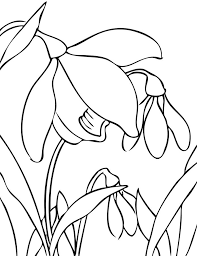 Vaza cu flori (in creion). Desene In Creion Cu Flori De Primavara
