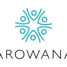 What are you waiting for? 320 Arowana Ideas Traveling By Yourself Business Intelligence Solutions Cash Advance Loans