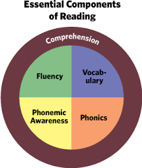 Pdf files and microsoft word files are used to display documents in a readable format. Five 5 Components Of Reading Read Naturally Inc