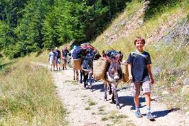 Their offer includes routes of various degrees of difficulty in over 100 countries and ranges from training programs to simple hikes and family trips to challenging. Hauser Exkursionen Spannende Trekking Abenteuer Fur Die Ganze Familie Reiseziele Ch