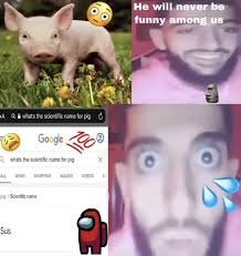 An element of a culture or system of behavior that may be considered to be passed from one individual to another by nongenetic means, especially imitation. He Will Never Be Funny Among Us Whats The Scientific Na Google Whals The Scientfic Name For Pig All News Shopping Images Videos Pig Name Sus