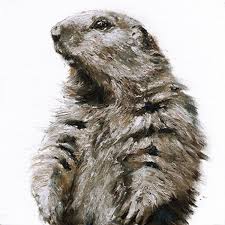 Ancien croupier, amateur de jeux de stratégie mais pas que ! Toile Sur Chassis Marmotte Brune