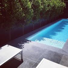 Ficus Flash Small Backyard Pools Backyard Pool Landscaping