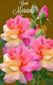 Funny ~ Good... - Funny ~ Good Morning ~ Images ~ Quotes