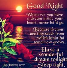 Good night message for friends with images: 22 Best Spiritual Good Night Quotes Enkiquotes